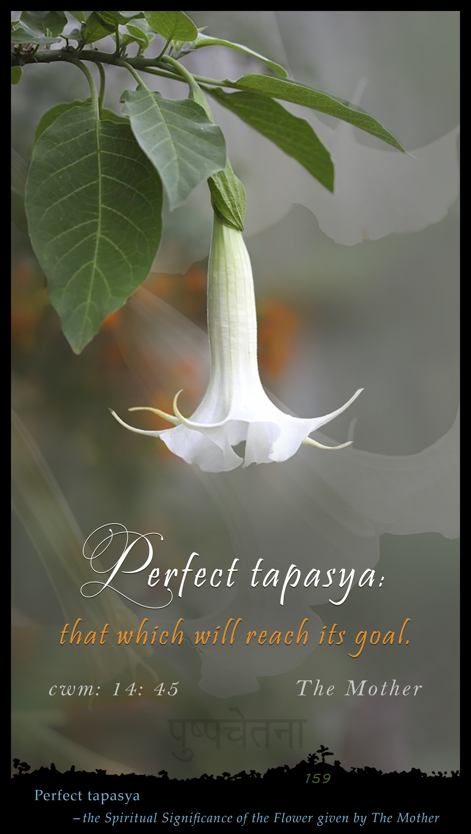 Perfect Tapasya